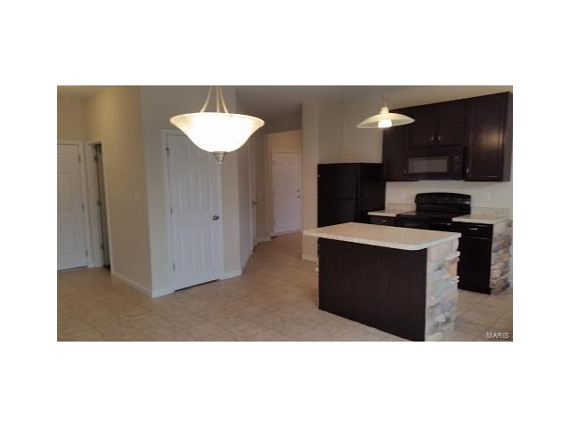 208 Flint Brook Dr, O'fallon, MO 63366 photo 4