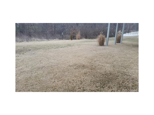 208 Flint Brook Dr, O'fallon, MO 63366 photo 24