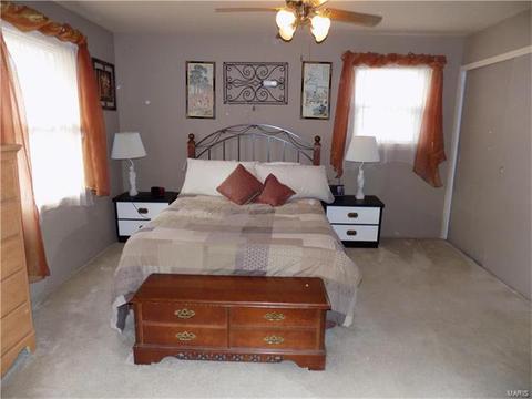 7420 Sharp Ave, Saint Louis, MO 63116 photo 11