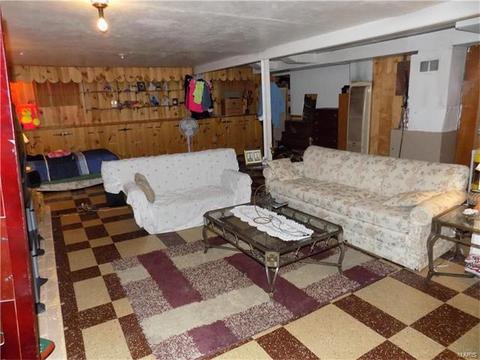 7420 Sharp Ave, Saint Louis, MO 63116 photo 12