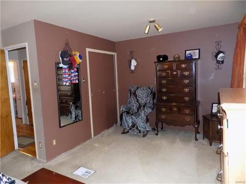 7420 Sharp Ave, Saint Louis, MO 63116 photo 10