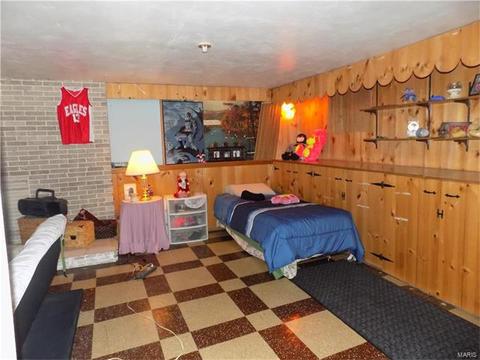 7420 Sharp Ave, Saint Louis, MO 63116 photo 16