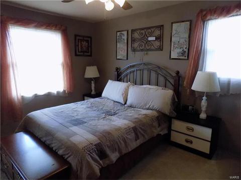 7420 Sharp Ave, Saint Louis, MO 63116 photo 8