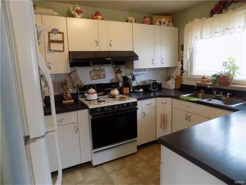 7420 Sharp Ave, Saint Louis, MO 63116 photo 4
