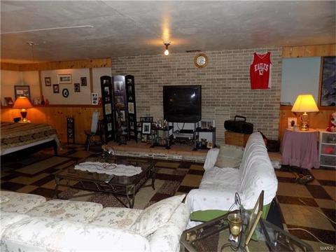7420 Sharp Ave, Saint Louis, MO 63116 photo 17
