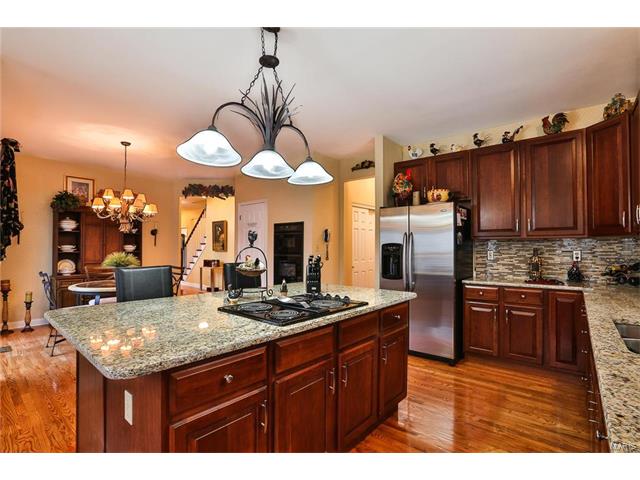 443 Meramec View Dr, Eureka, MO 63025 photo 10