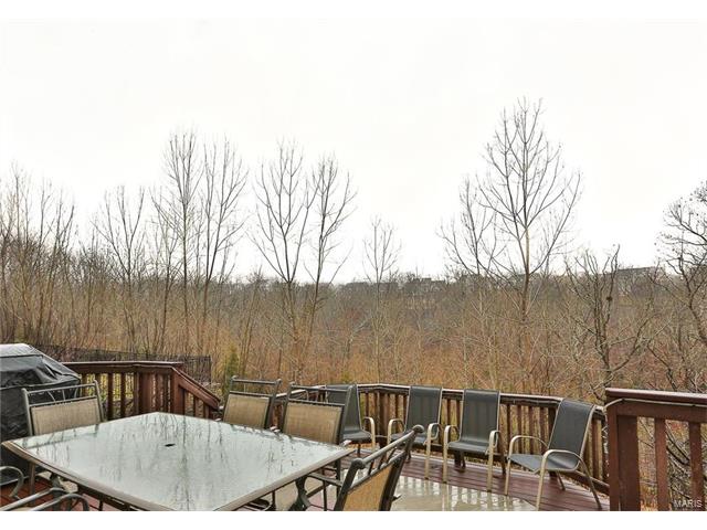 443 Meramec View Dr, Eureka, MO 63025 photo 36