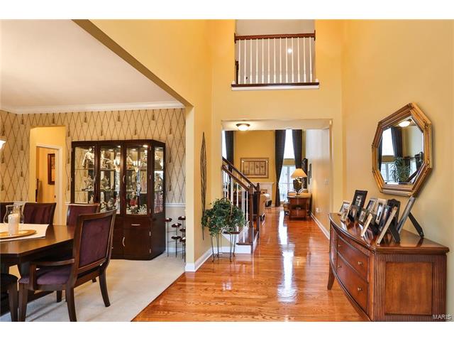 443 Meramec View Dr, Eureka, MO 63025 photo 5