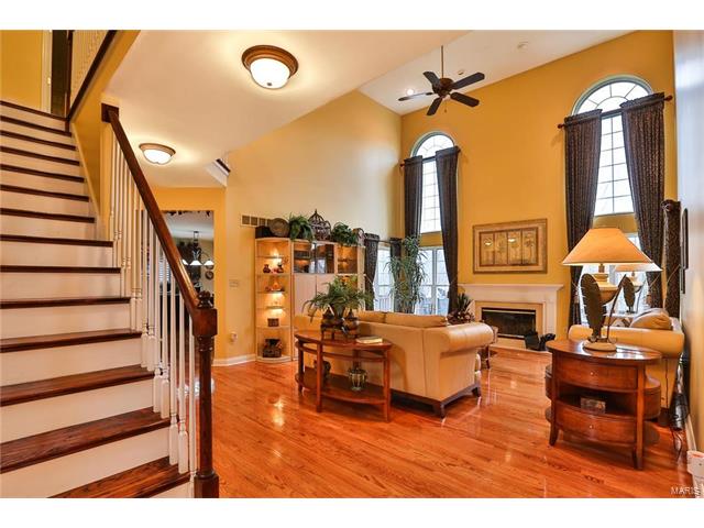 443 Meramec View Dr, Eureka, MO 63025 photo 6