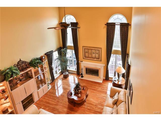443 Meramec View Dr, Eureka, MO 63025 photo 31