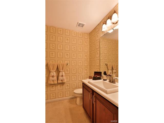 443 Meramec View Dr, Eureka, MO 63025 photo 29