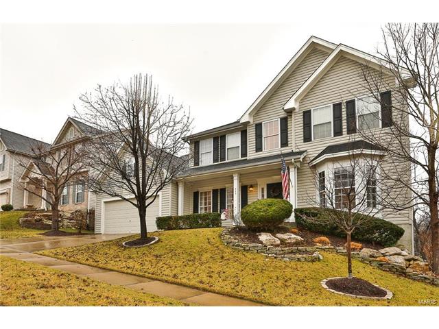 443 Meramec View Dr, Eureka, MO 63025 photo 38