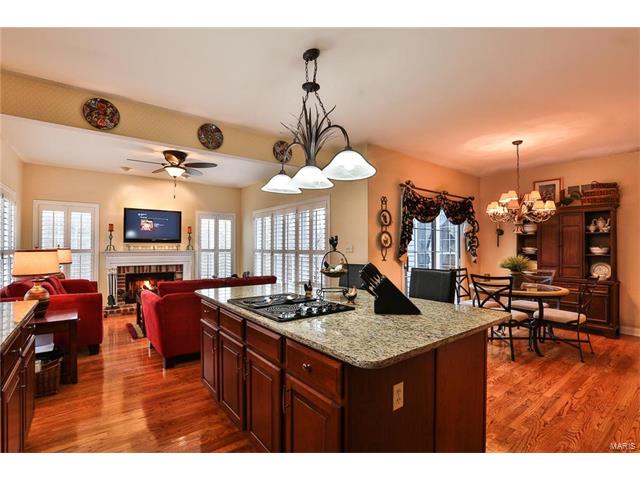 443 Meramec View Dr, Eureka, MO 63025 photo 11