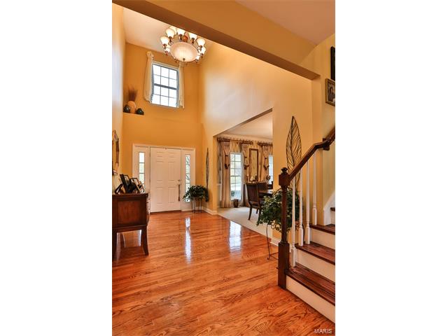 443 Meramec View Dr, Eureka, MO 63025 photo 15