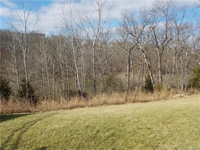 443 Meramec View Dr, Eureka, MO 63025 photo 4