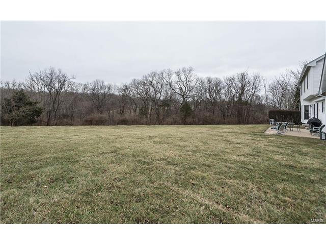 1460 Ridgetree Trails Dr, Wildwood, MO 63021 photo 27
