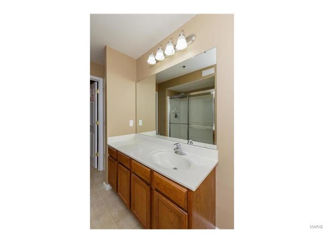 8101 Spring Creek Ln, O'fallon, MO 63368 photo 28