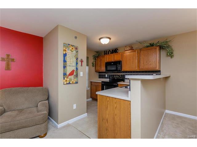 8101 Spring Creek Ln, O'fallon, MO 63368 photo 12
