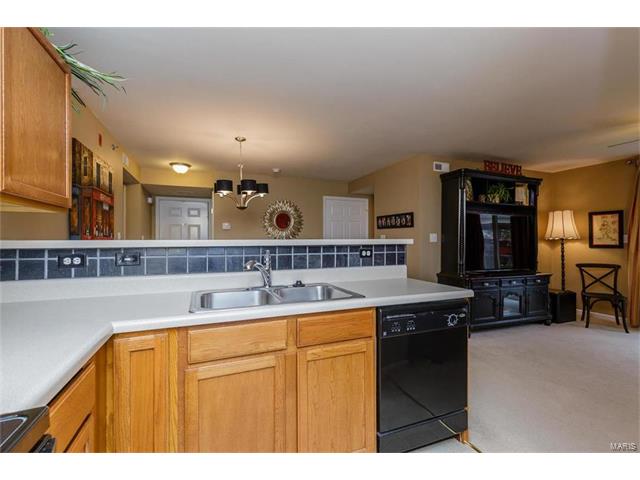 8101 Spring Creek Ln, O'fallon, MO 63368 photo 17