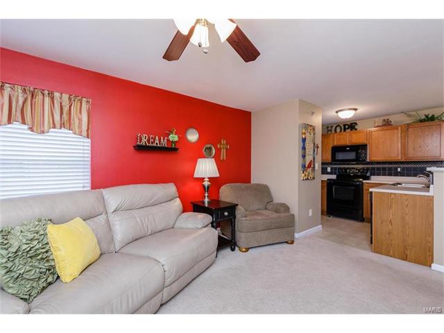 8101 Spring Creek Ln, O'fallon, MO 63368 photo 9