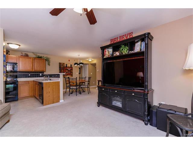 8101 Spring Creek Ln, O'fallon, MO 63368 photo 11