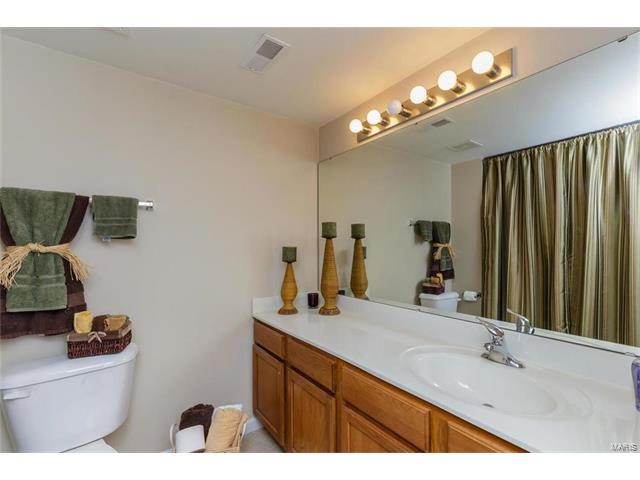 8101 Spring Creek Ln, O'fallon, MO 63368 photo 33
