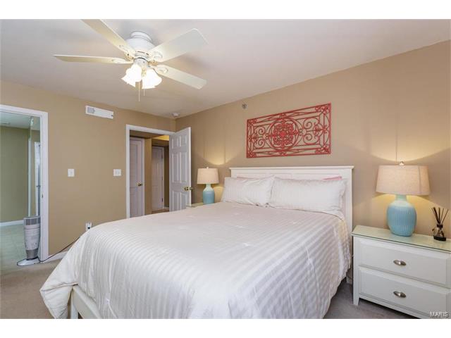 8101 Spring Creek Ln, O'fallon, MO 63368 photo 23