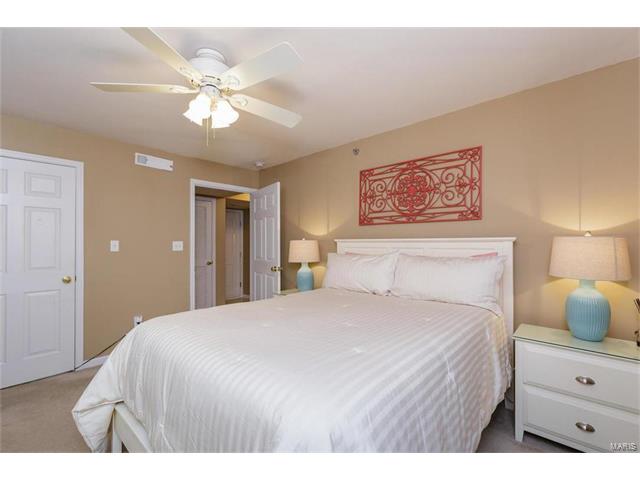 8101 Spring Creek Ln, O'fallon, MO 63368 photo 22