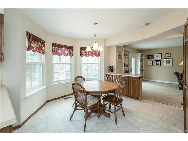 303 Fox Briar Ln, Ballwin, MO 63021 photo 12