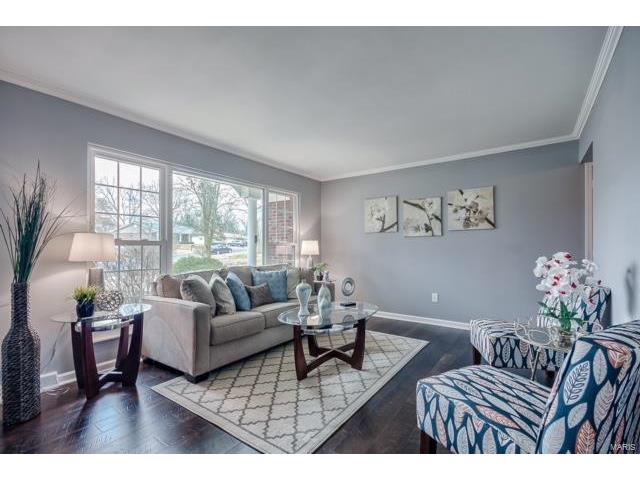 250 Mar El, Ellisville, MO 63011 photo 4