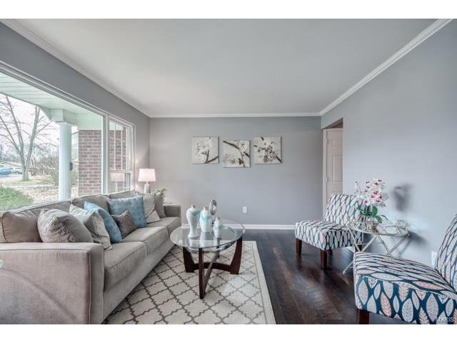 250 Mar El, Ellisville, MO 63011 photo 3