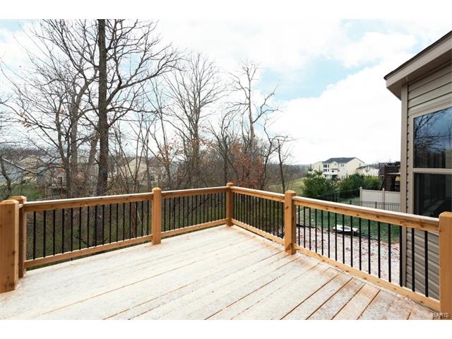 24 Hawthorne Ct, O'fallon, MO 63366 photo 27