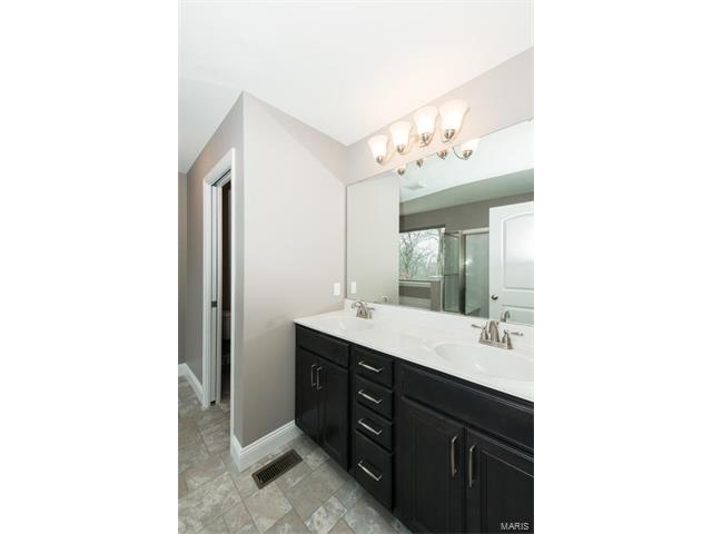24 Hawthorne Ct, O'fallon, MO 63366 photo 19