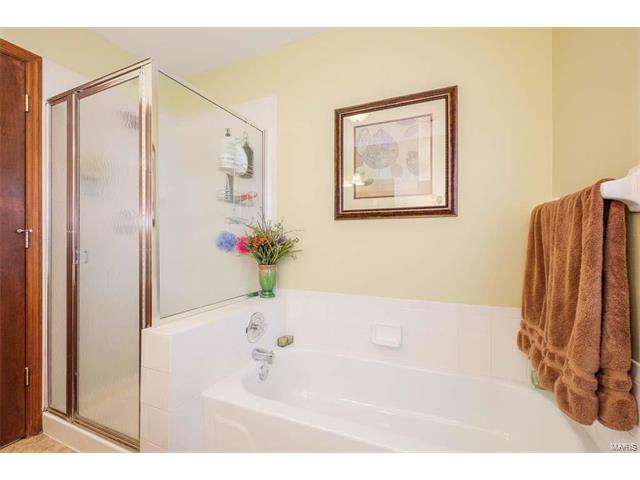 927 Hanna Valley Estates Dr, Ballwin, MO 63021 photo 16
