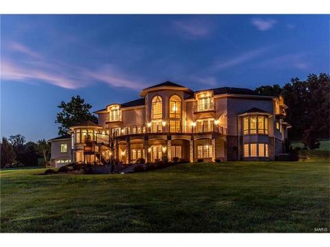 357 Larimore Valley Dr, Chesterfield, MO 63005 photo 19