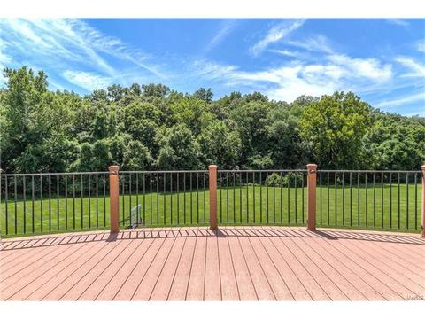357 Larimore Valley Dr, Chesterfield, MO 63005 photo 14