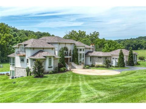 357 Larimore Valley Dr, Chesterfield, MO 63005 photo 2