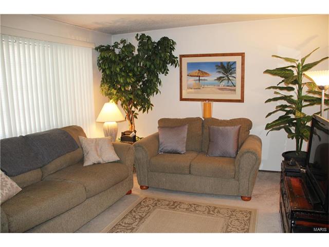 13354 Hiddencrest Ln, Ballwin, MO 63021 photo 2