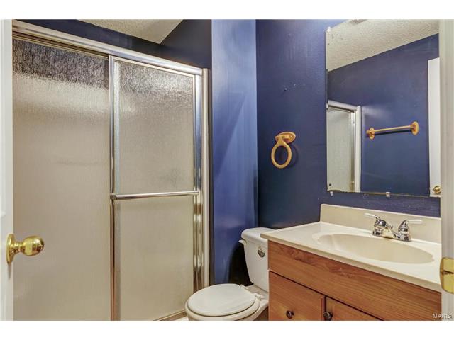 6321 Long Timber Dr, O'fallon, MO 63368 photo 25