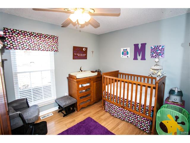 46 Roland Ave, Ballwin, MO 63021 photo 16