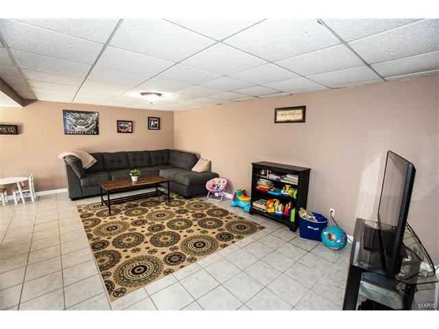 46 Roland Ave, Ballwin, MO 63021 photo 20