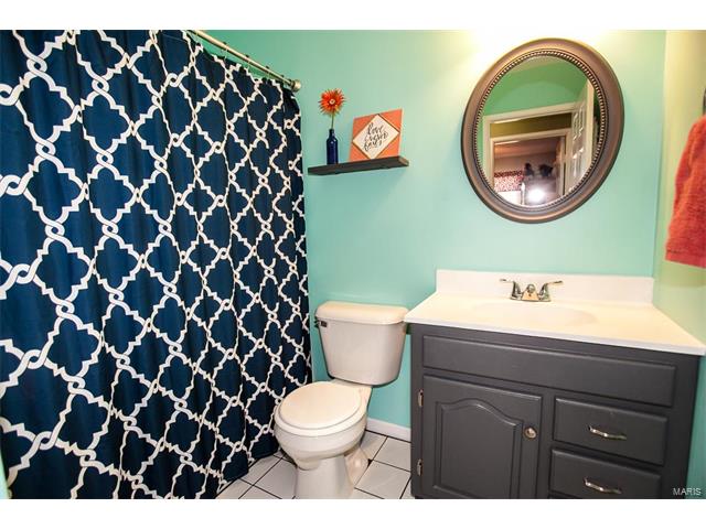 46 Roland Ave, Ballwin, MO 63021 photo 18