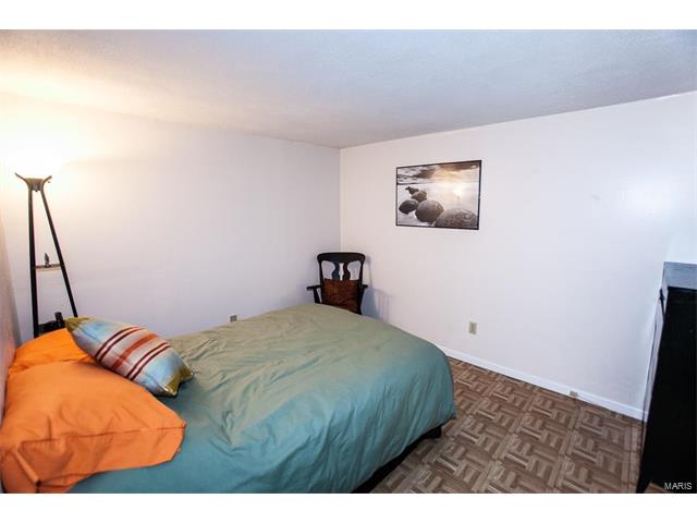 46 Roland Ave, Ballwin, MO 63021 photo 25