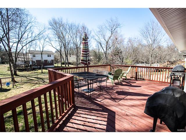 46 Roland Ave, Ballwin, MO 63021 photo 30