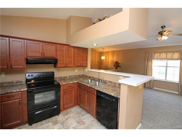 18 Redhead Ln, O'fallon, MO 63368 photo 5
