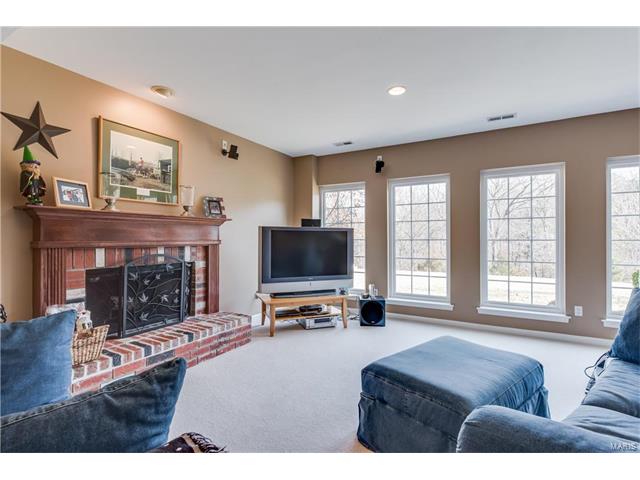 17812 Suzanne Ridge Dr, Glencoe, MO 63038 photo 54