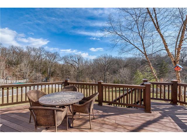 17812 Suzanne Ridge Dr, Glencoe, MO 63038 photo 66
