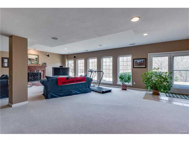 17812 Suzanne Ridge Dr, Glencoe, MO 63038 photo 51
