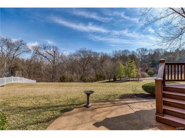 17812 Suzanne Ridge Dr, Glencoe, MO 63038 photo 64