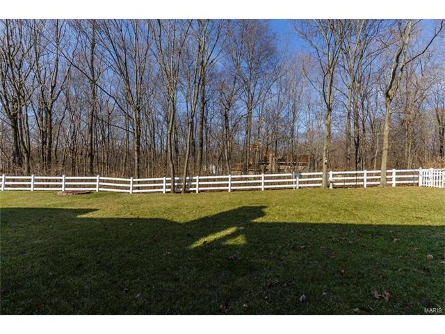9028 Harvest Run Dr, O'fallon, MO 63368 photo 38